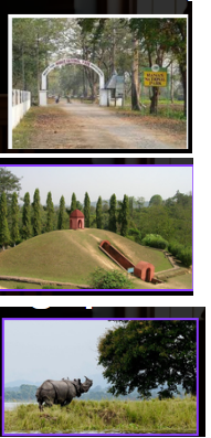 Assam three world heritage sites